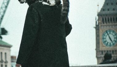 Just a guy walking in the city centre with a cat on his shoulder
