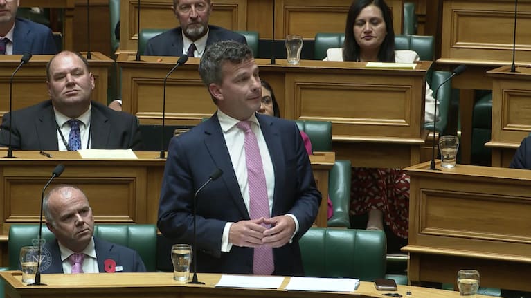 ACT leader David Seymour speaks at the second reading of the Treaty Principles Bill.