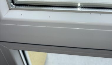 Kleine Mücken am Fenster?