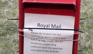 How very British…..