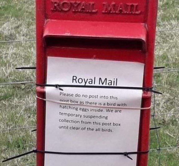 How very British…..