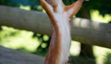 Friday Fread (11 Apr 25)