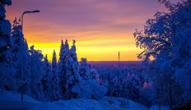 Was Sweden the best market model for Finland to follow?