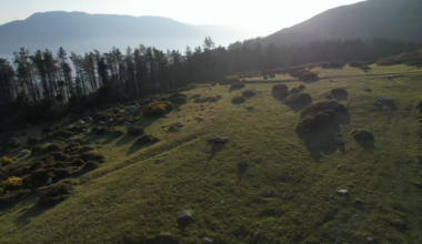 Rostrevor - Behind Slievemeen