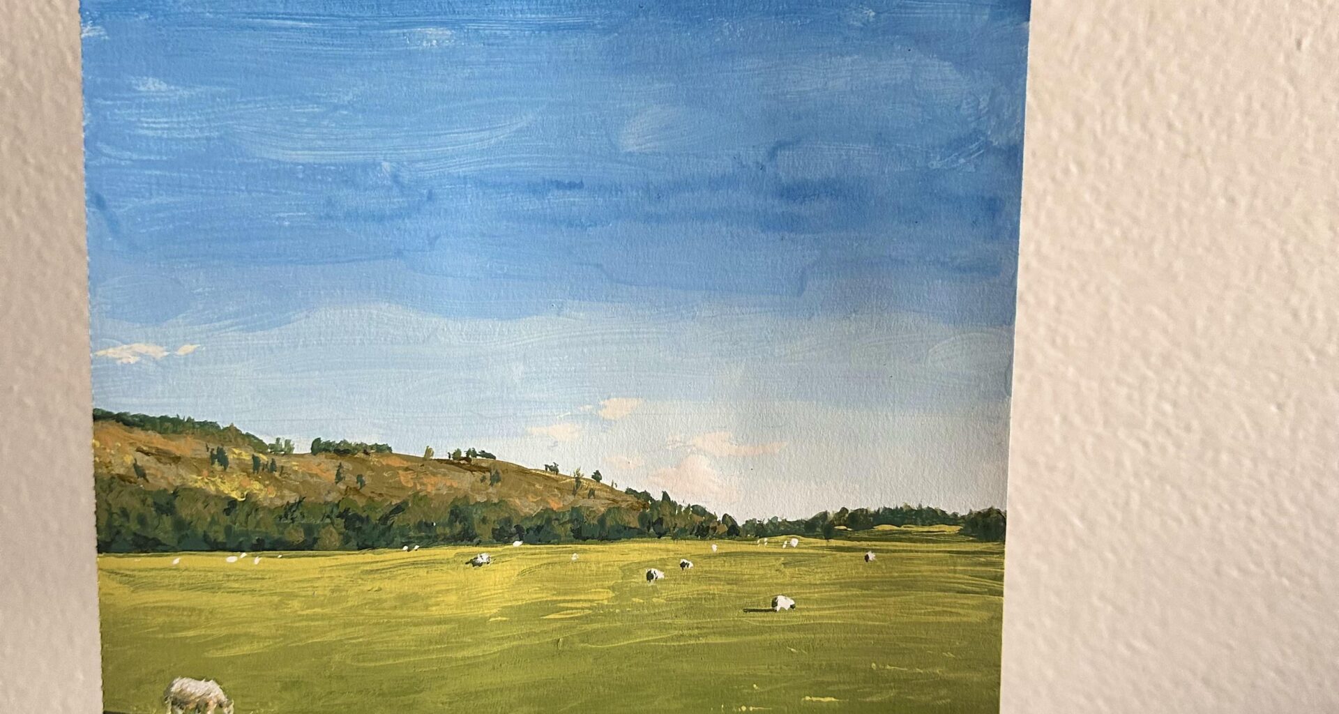 I painted a field near Kilmartin