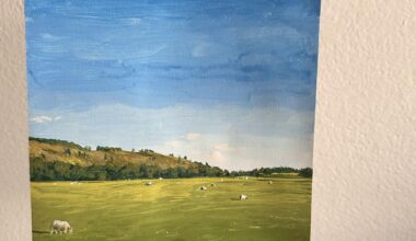 I painted a field near Kilmartin