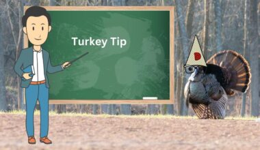 Here Is A Turkey Hunting Technique For Michigan Hunters