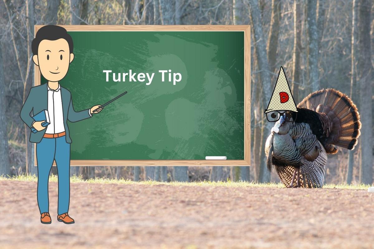 Here Is A Turkey Hunting Technique For Michigan Hunters