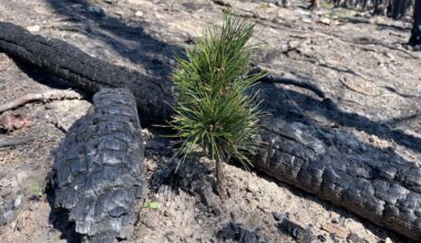 We must protect right to clean, healthful environment