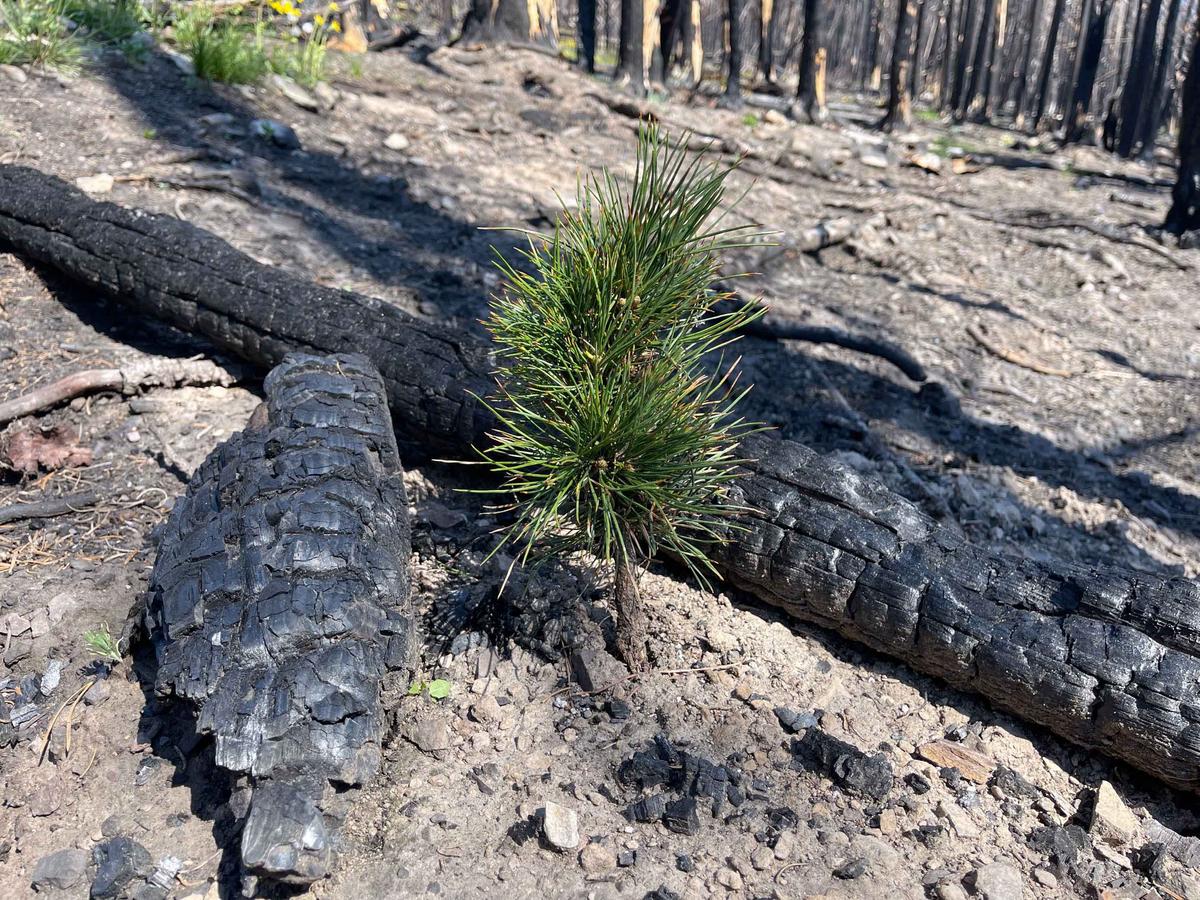 We must protect right to clean, healthful environment