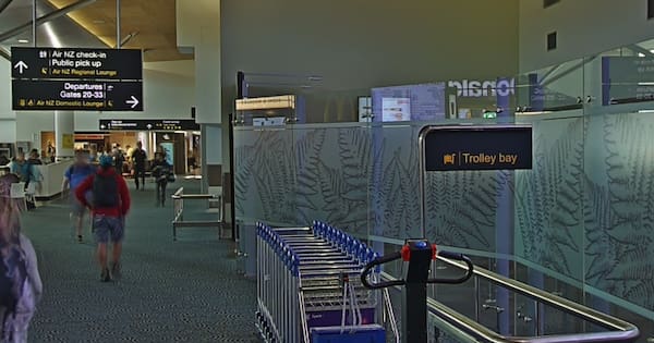 Wife of MP Shane Jones allegedly assaulted at airport