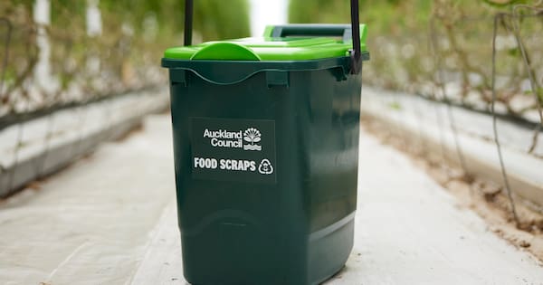 Families join food scraps revolution – and share how to avoid maggots