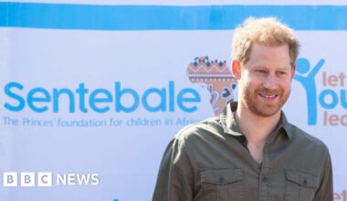 Prince Harry charity row to be investigated by watchdog
