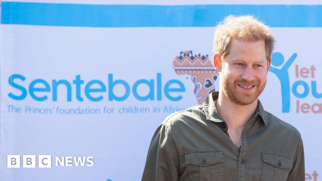 Prince Harry charity row to be investigated by watchdog