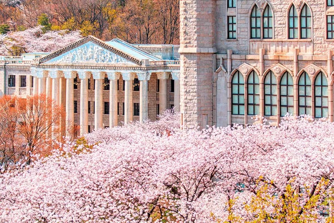 Kyung Hee University in South Korea Rises to 6th in JoongAng Ilbo Rankings