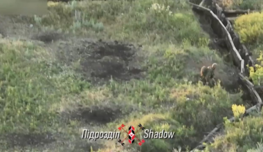 Drone strike severs russians arm (NSFW)