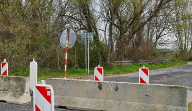 Deutschland gilt nach dem Ausbruch der Maul- und Klauenseuche in Brandenburg wieder als seuchenfrei.