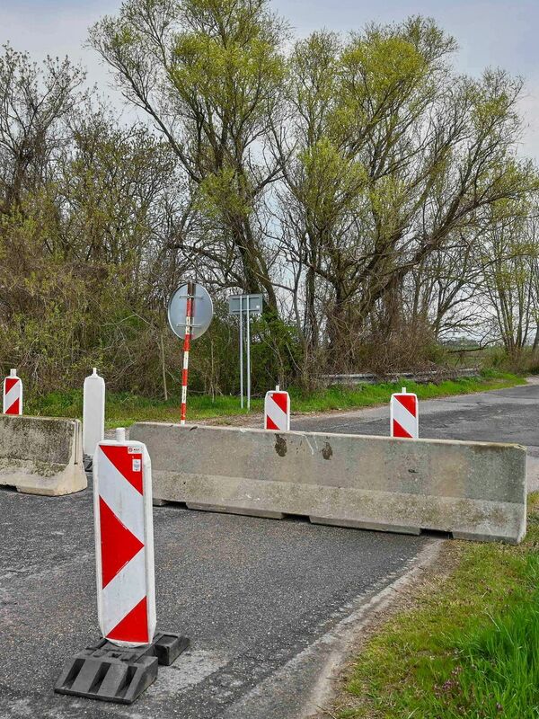 Deutschland gilt nach dem Ausbruch der Maul- und Klauenseuche in Brandenburg wieder als seuchenfrei.