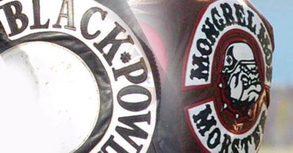 Police crackdown on 'senseless gang violence' in two NZ regions