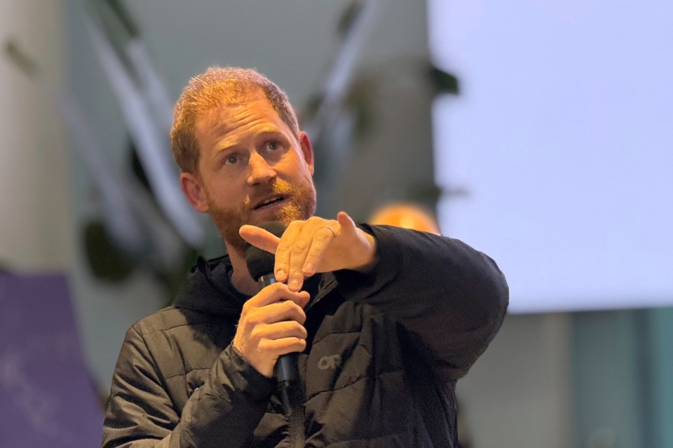 Prince Harry speaking to Ukrainian war veterans.
