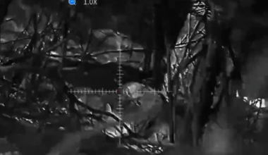 Ukrainian marksmen (Anti-Tank unit, 72nd Mechanized Brigade) took out Russian soldiers. Fighting distance only 20m, Pokrovsk direction, late March 2025. Weapon used: colt.308
