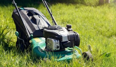 Britons urged to stop mowing lawns to boost butterfly numbers 'in long-term decline'