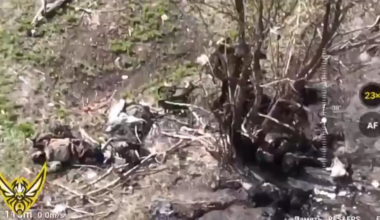 NSFW: The tree of death. Russian soldiers taken out by drone operators of 3rd Special Purpose Regiment. Pokrovsk direction. April 2025