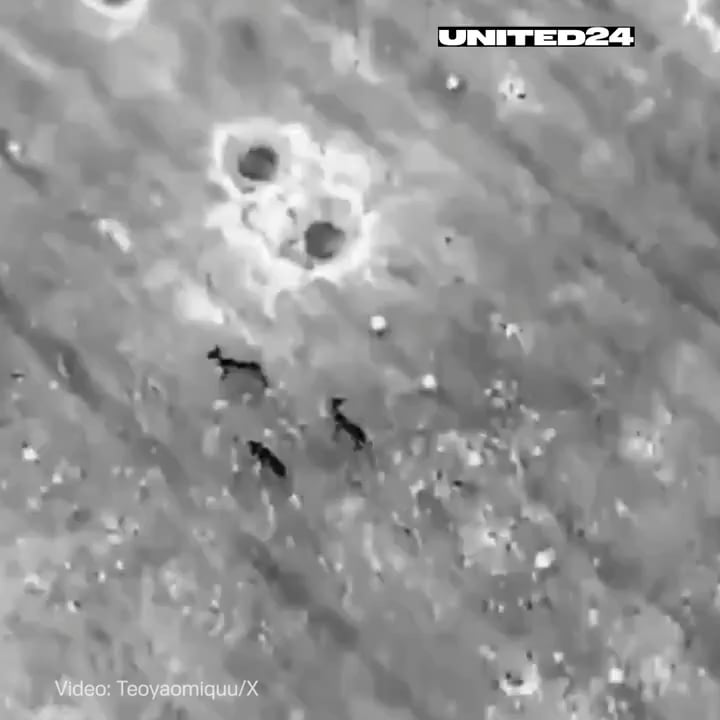 Ukraine uses drone to chase deer from RU mines