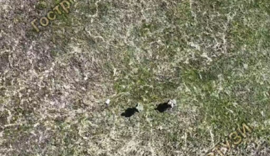 A selection of drone-dropped grenades by Ukraine's "Peaky Blinders" unit on Russian soldiers on April 15, 2025 in the Kurakhove direction