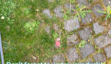 Enten gießen nicht vergessen ☝🏻