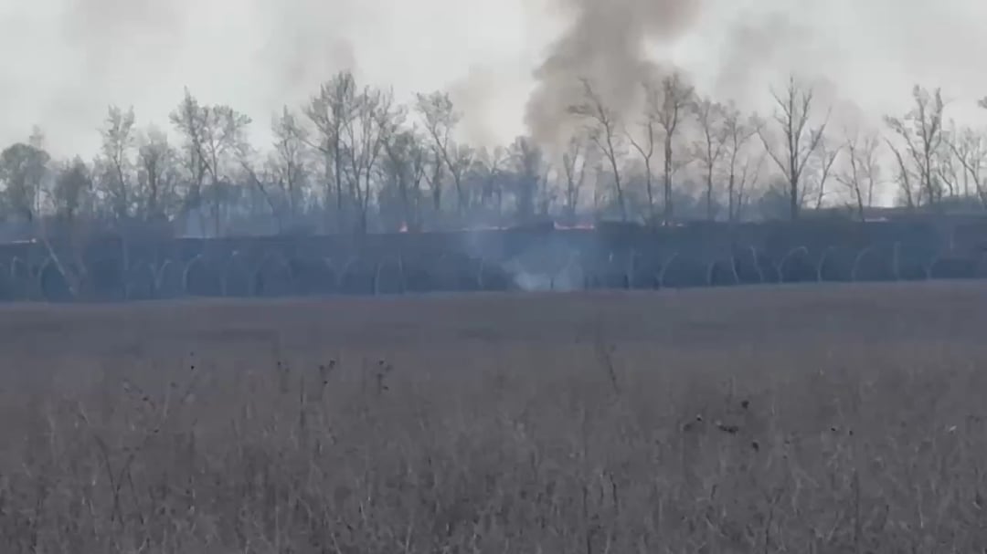 Russian conscripts write that there was an attack by a convoy of five trucks and about 60 people were killed. Belgorod region.