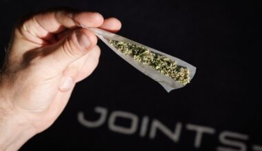 Cannabisgesetz bleibt – Legalisierung wird im Herbst evaluiert