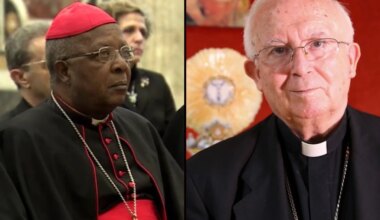 2 cardinal electors bow out: Papal conclave to elect Pope Francis’ successor moves forward with 133 voters