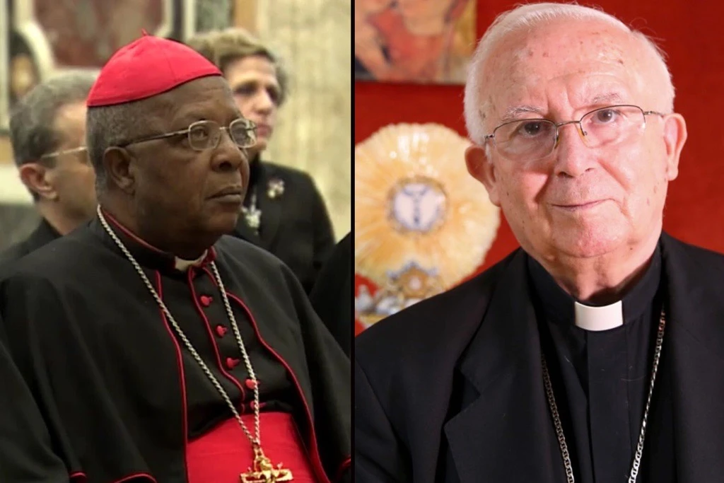 2 cardinal electors bow out: Papal conclave to elect Pope Francis’ successor moves forward with 133 voters