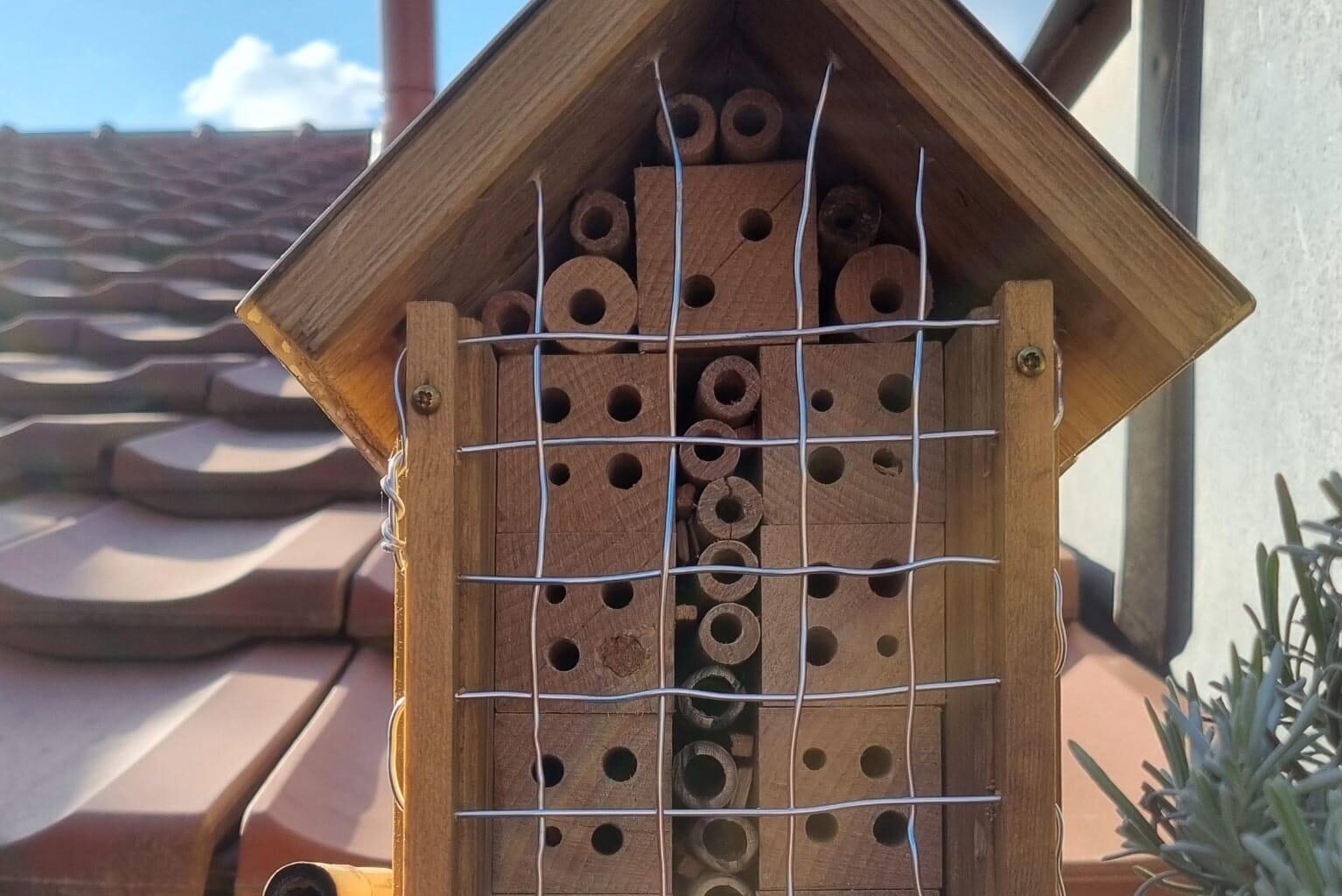 Was habe ich bei meinem Bienenhotel falsch gemacht?