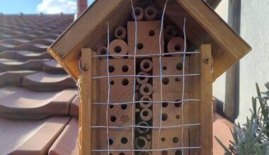 Was habe ich bei meinem Bienenhotel falsch gemacht?
