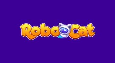 Best Online Casinos Ireland - Robocat Ranked Best Irish Casino