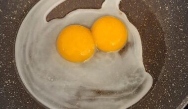 Double yolk first time. Then 2 eggs in a row. Gonna do lottery later