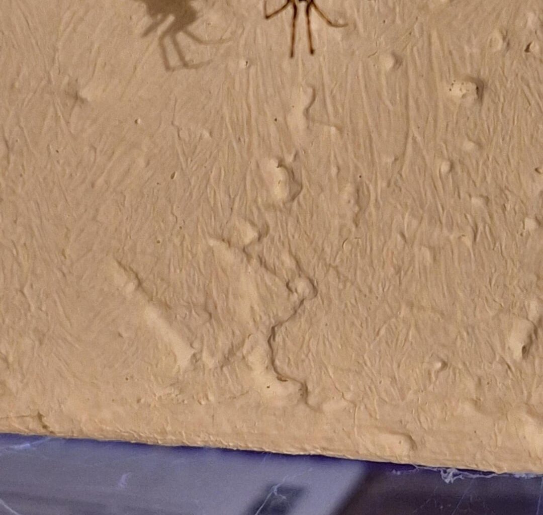 Wer ist denn dieser kleine Kerl?