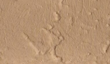 Wer ist denn dieser kleine Kerl?