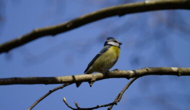 Ihr habt doch alle eine: