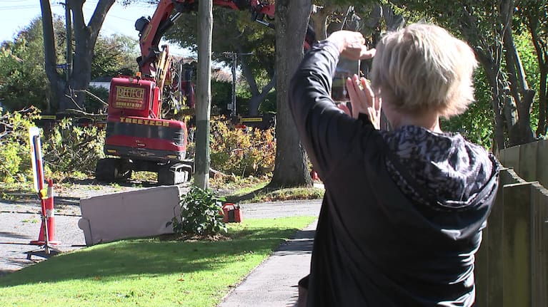 Community Board member for the Innes Ward Ali Jones records the trees being felled.