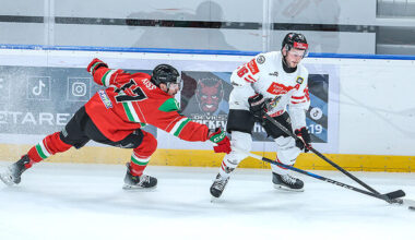 Copyright: GEPA pictures/Csaba Doemoetoer