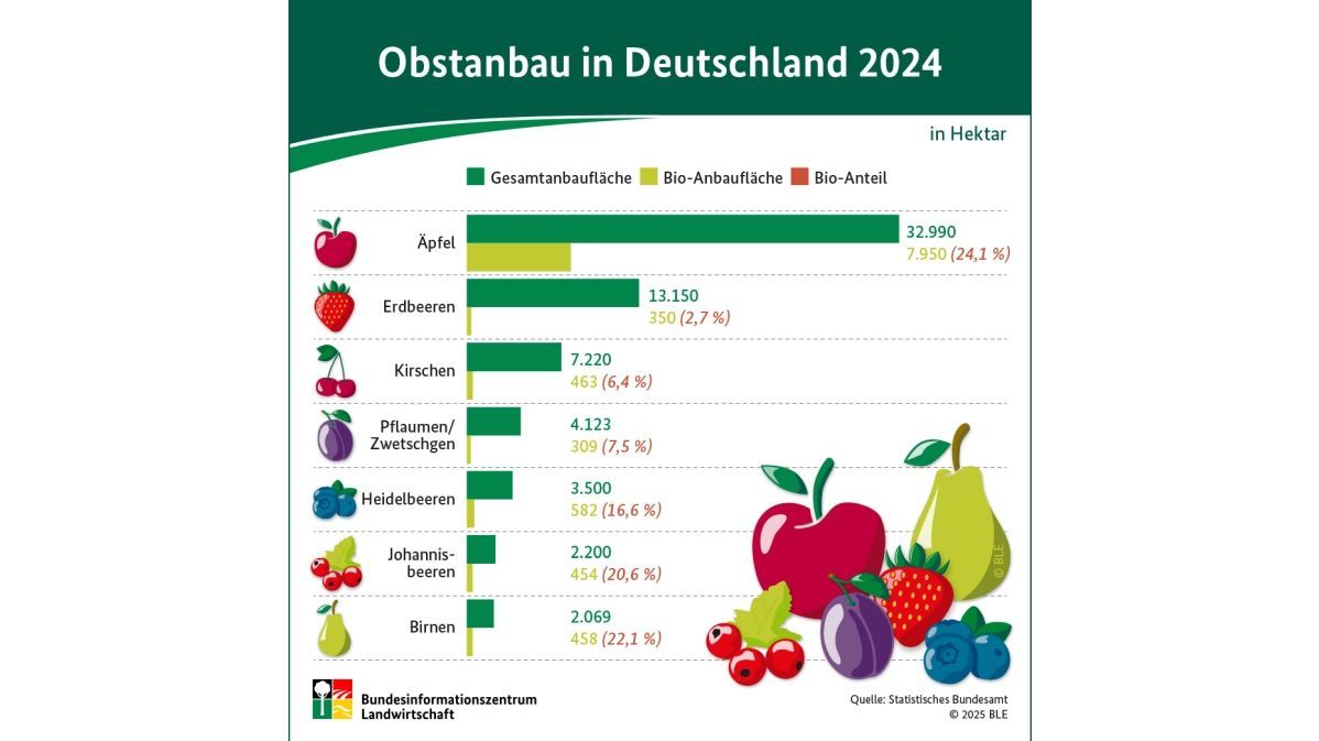 Infografik: Obstanbau in Deutschland 2024