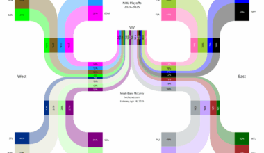 2024-2025 NHL Playoff Chances [OC]