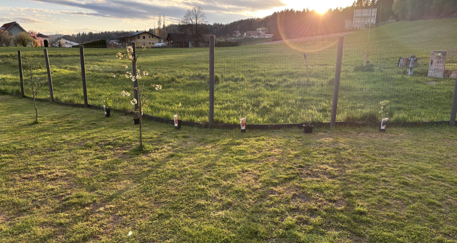 Anfänger
