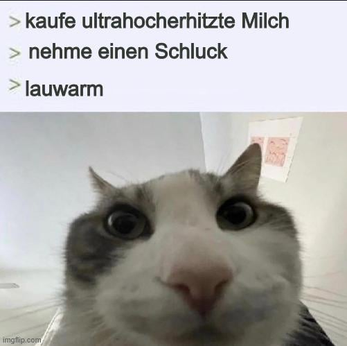 ich🥛iel
