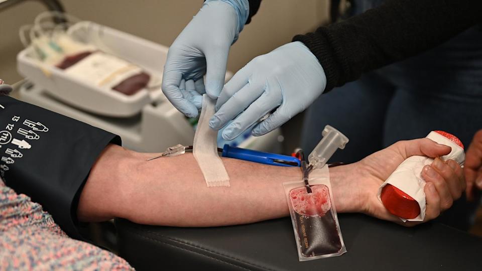 A blood donor