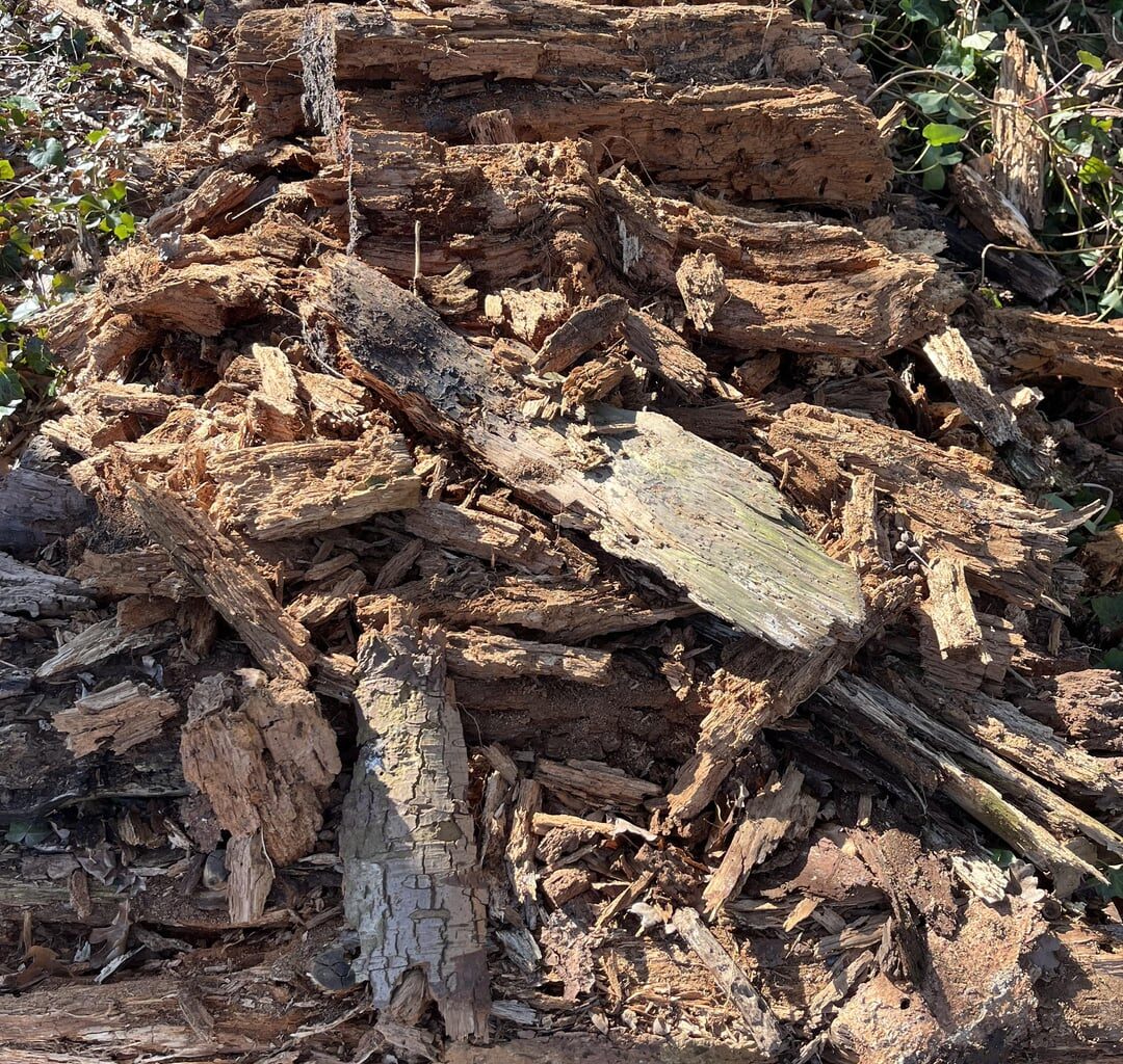 Vermodertes Holz kompostieren