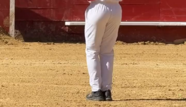 El toro casi le arranca el trasero